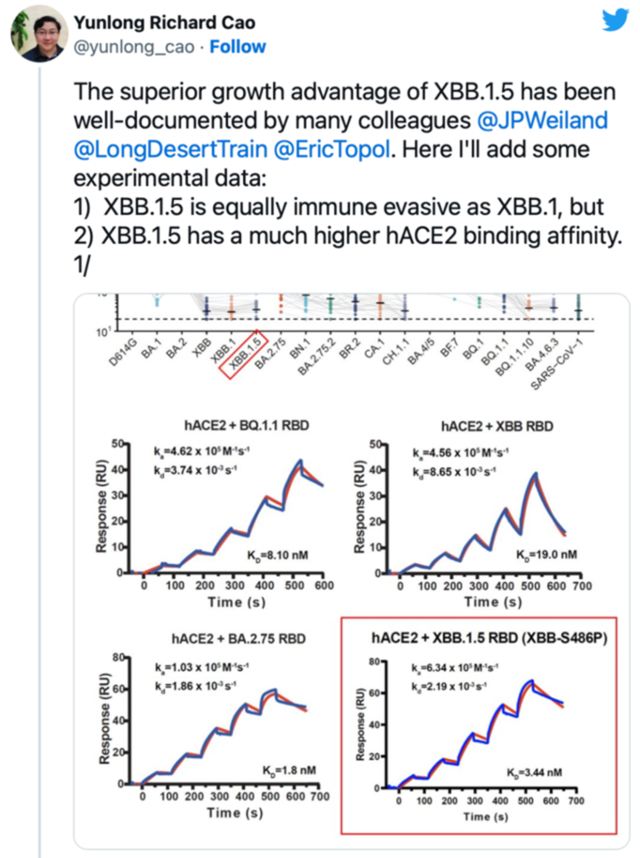 北京大学生物医学研究员曹云龙在推特上发布的数据表明，XBB.1.5不仅能像XBB.1变体一样有效地逃避抗体保护， ...